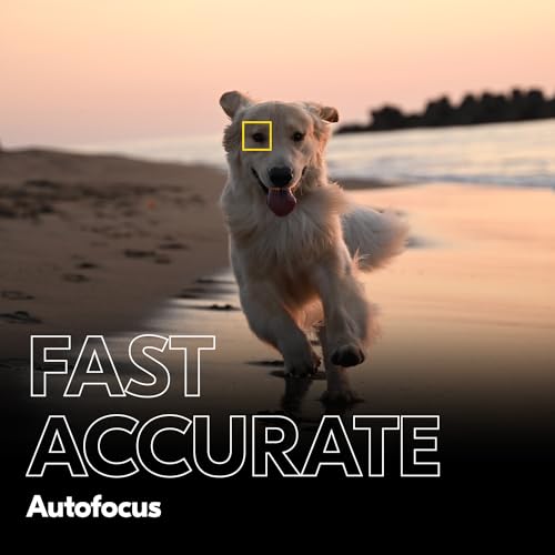 Nikon Z f Full-Frame Mirrorless Camera Iconic Styling