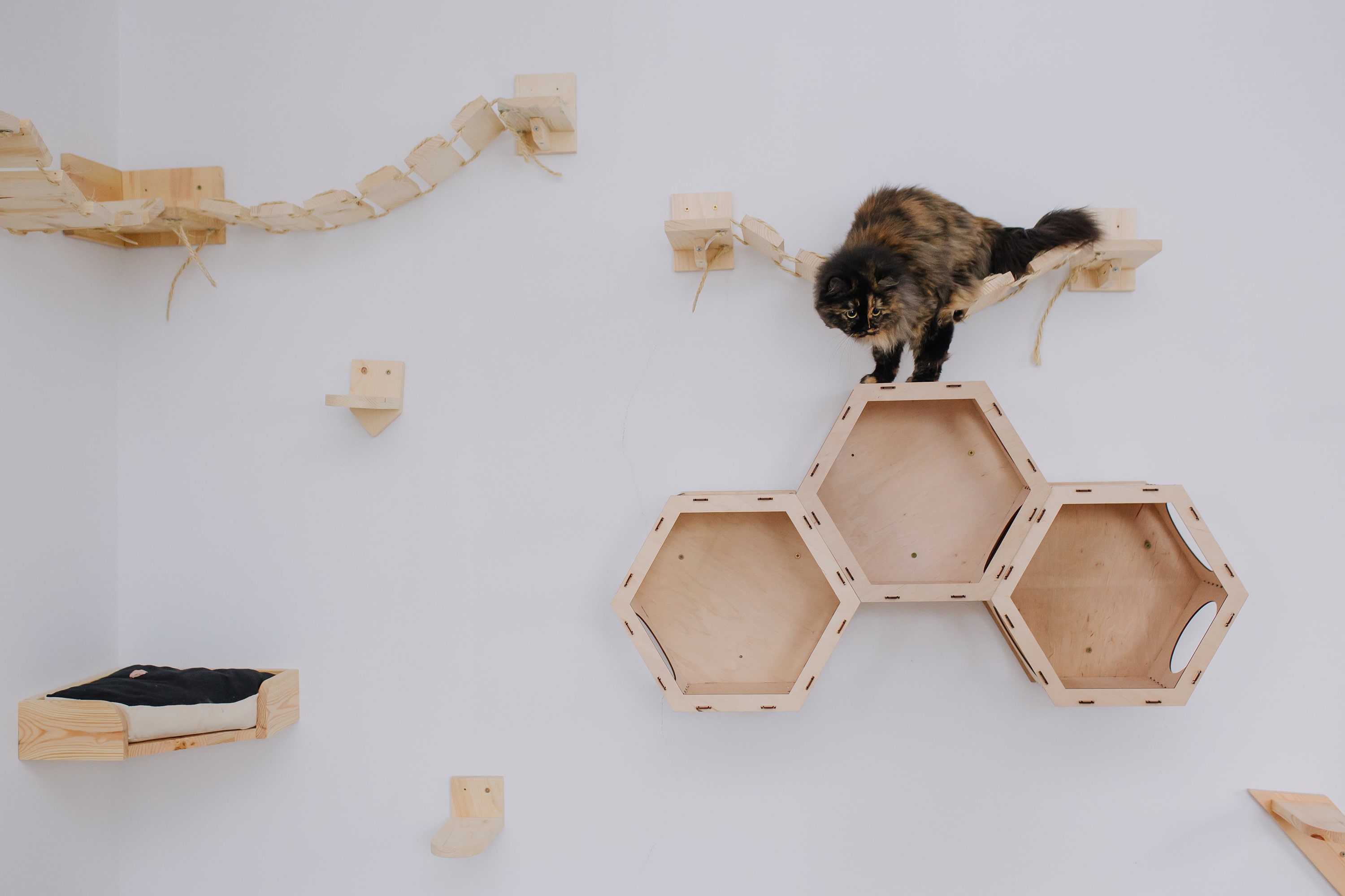 Wall-mounted cat furniture set