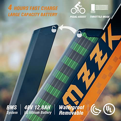 GOGOAL 750W 48V 13AH E-Bike with Fat Tire