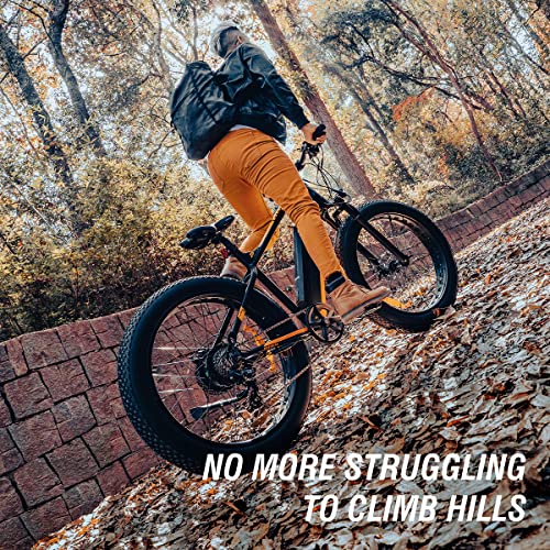 GOGOAL 750W 48V 13AH E-Bike with Fat Tire