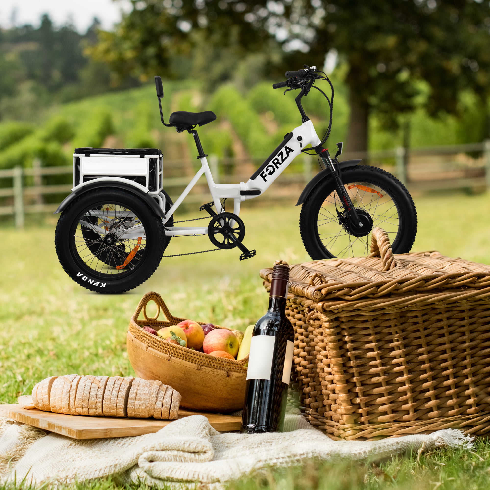 Electric Trike - 3 Wheel Motorized eBike