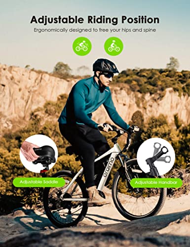 Adult Electric Bicycle - Oraimo 350W Mountain eBike