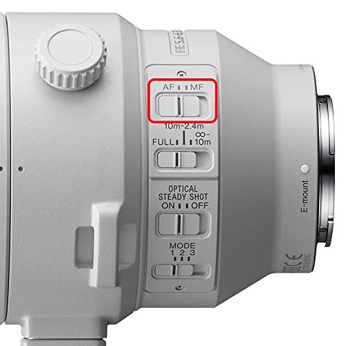 Sony 200-600mm G OSS Zoom Lens