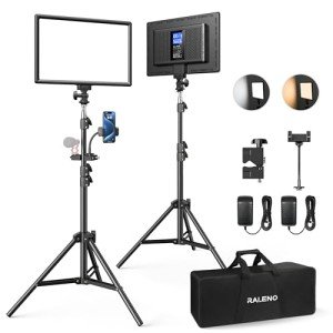 Professional Video Conference Lighting Kit