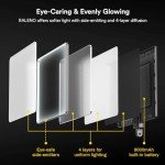 Professional Video Conference Lighting Kit