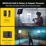 Professional Video Conference Lighting Kit