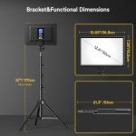 Professional Video Conference Lighting Kit