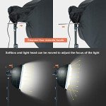 Linco Photo Video Studio Lighting Kit with Backdrops