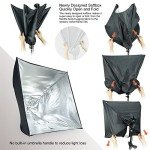 Linco Photo Video Studio Lighting Kit with Backdrops