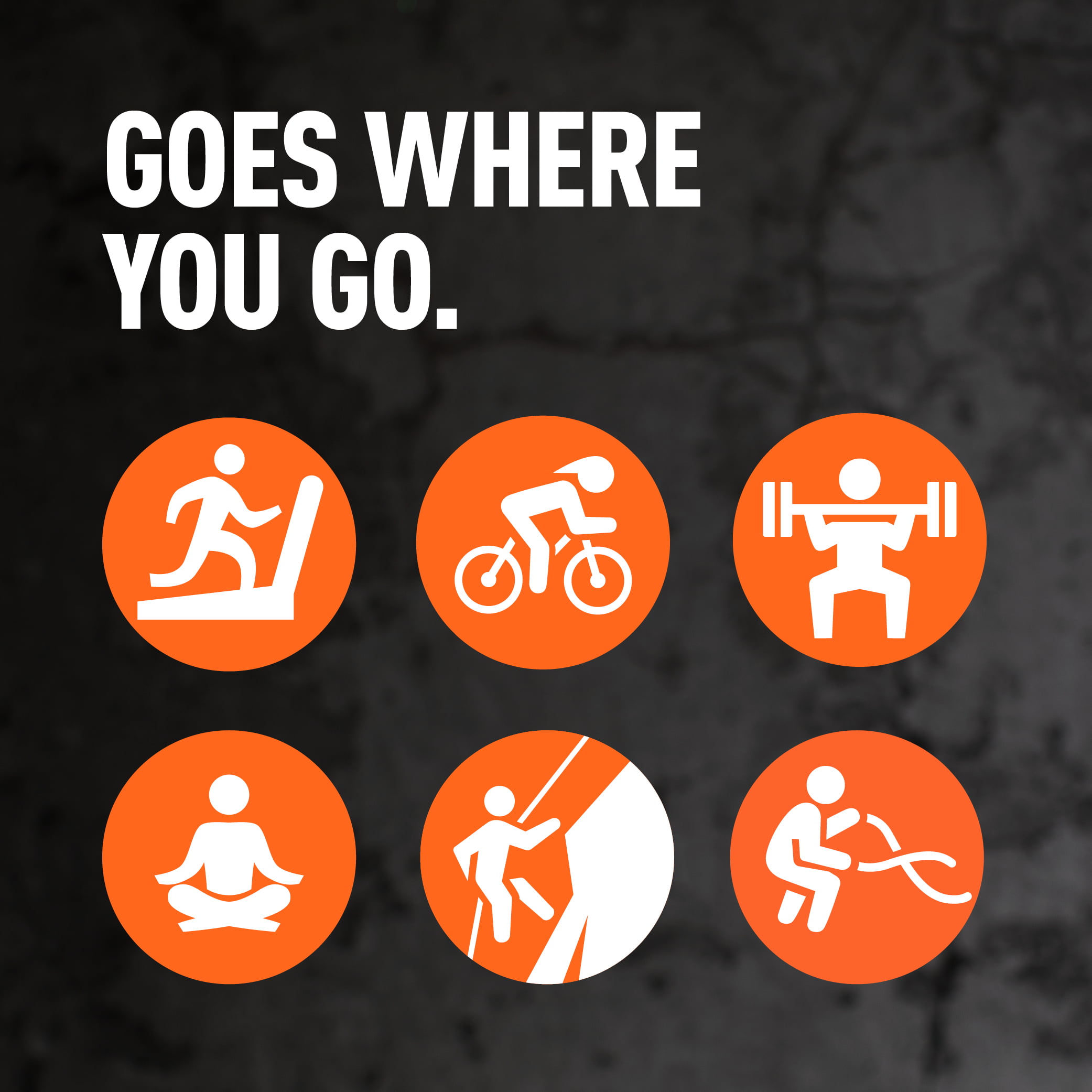 4-Pack Chocolate High-Protein Shakes