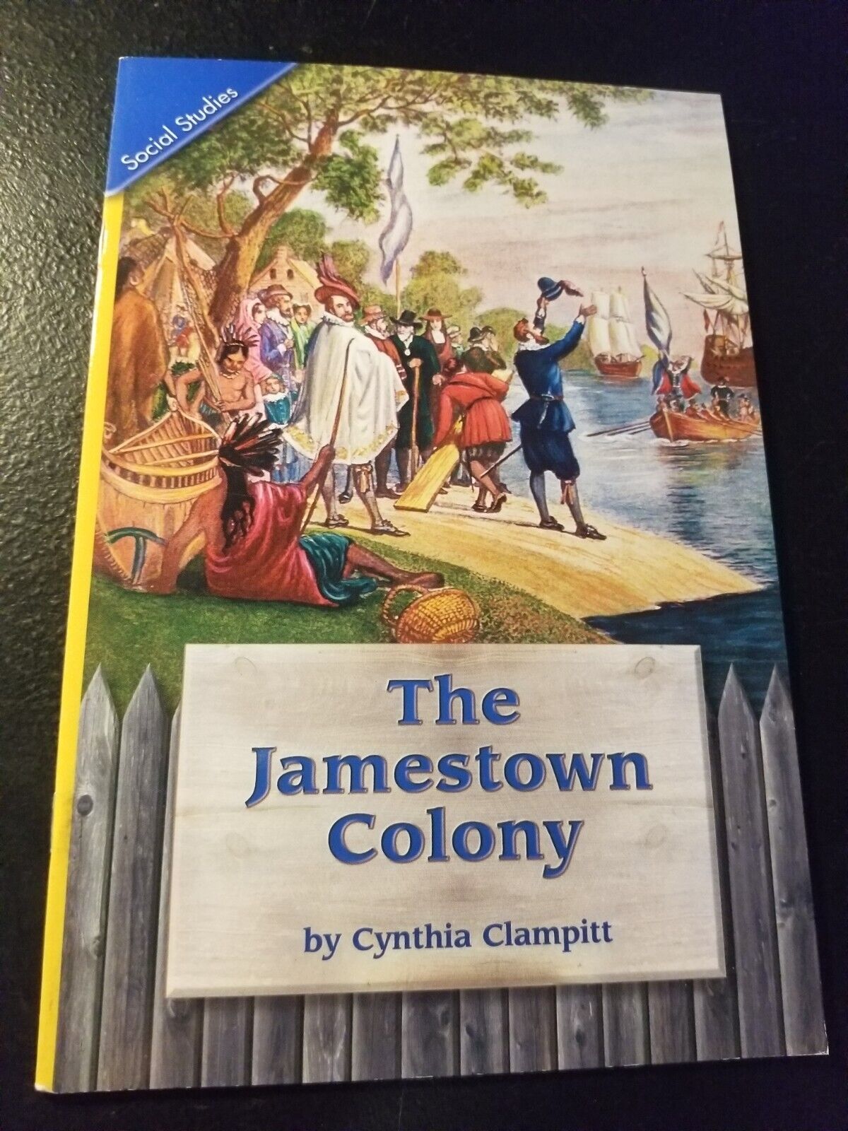 Scott Foresman Cat Themed Study Guides