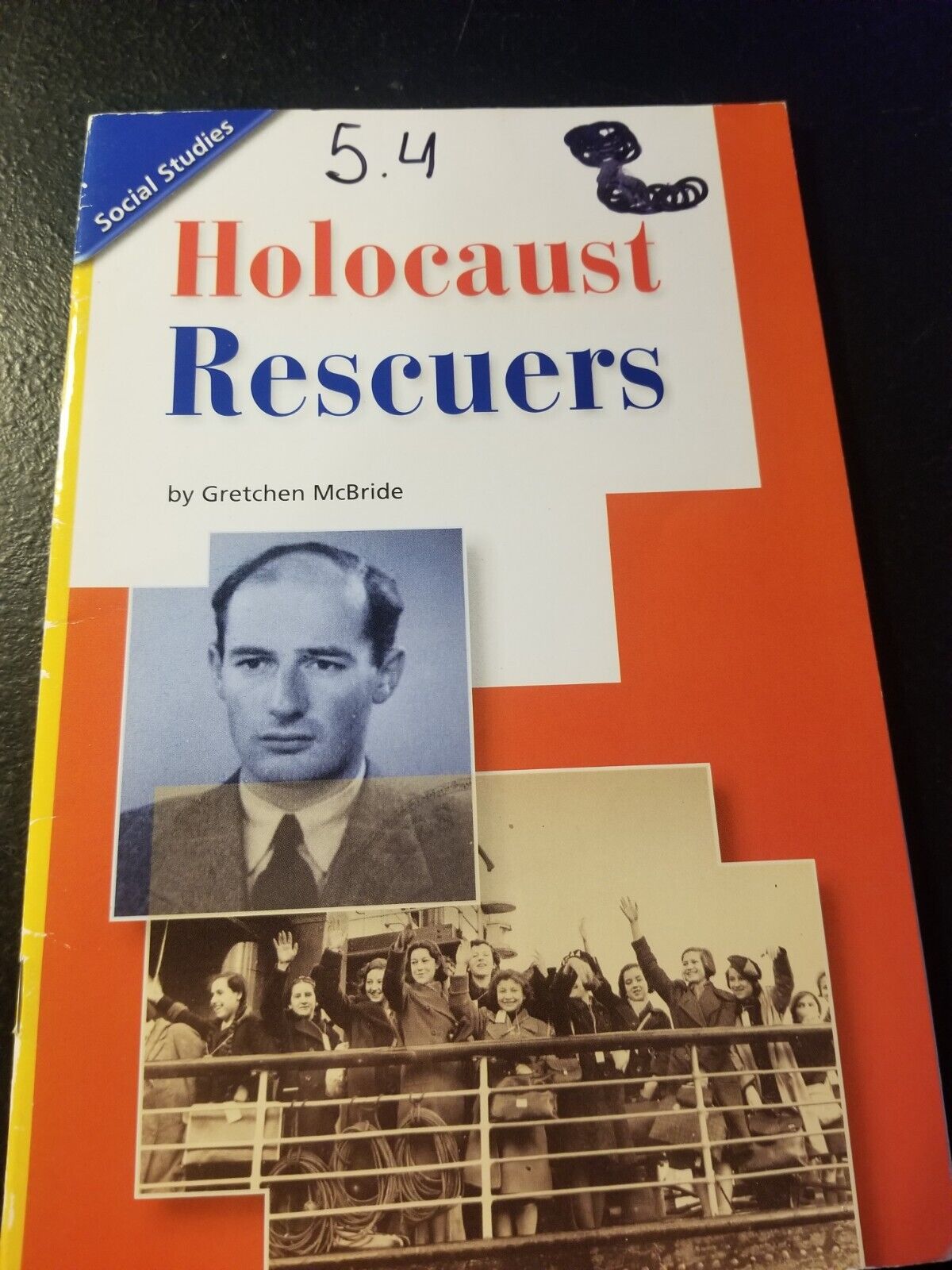 Scott Foresman Cat Themed Study Guides