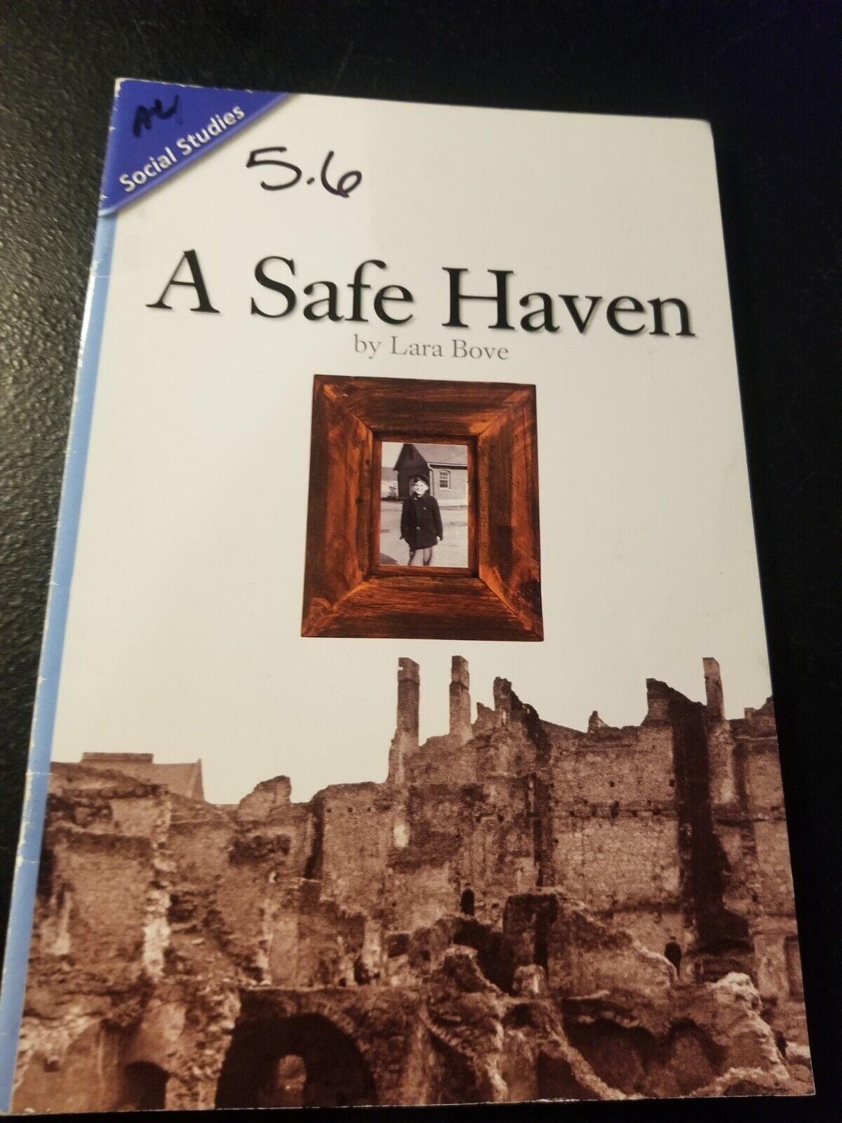 Scott Foresman Cat Themed Study Guides