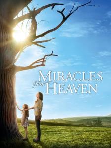 Heavenly Miracles: Transformative Video Collection