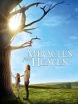 Heavenly Miracles: Transformative Video Collection