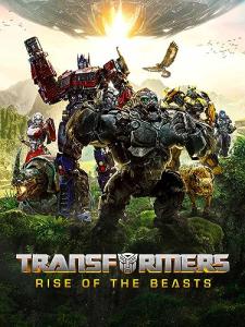Transformers: Rise of the Beasts DVD Collection