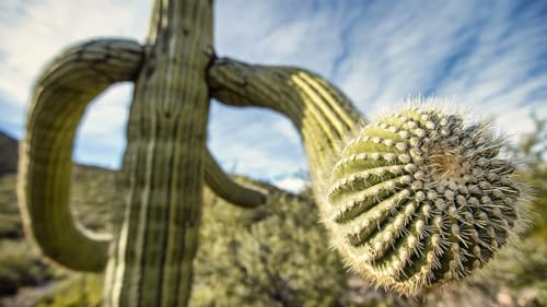 Green Planet in Brilliant 4K UHD Quality