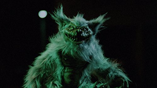 Hobgoblins Blu-ray and DVD Combo Pack