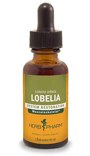 Certified Organic Lobelia Liquid Extract - 1 Ounce