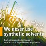 Certified Organic Lobelia Liquid Extract - 1 Ounce