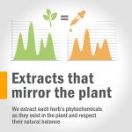 Certified Organic Lobelia Liquid Extract - 1 Ounce