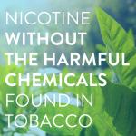 Equate Nicotine Gum 2 mg, Mint Flavor, 170 Count