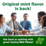 Nicotine Lozenge 2mg Mint Flavor, Smoke-Free, 144 Count