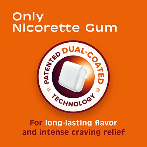 Nicorette Fruit Chill Flavored 4mg Nicotine Gum - 100 Count
