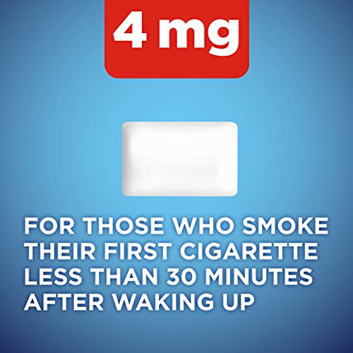 Ice Mint Coated Nicotine Gum, 160 Count