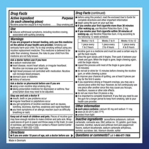 Ice Mint Coated Nicotine Gum, 160 Count