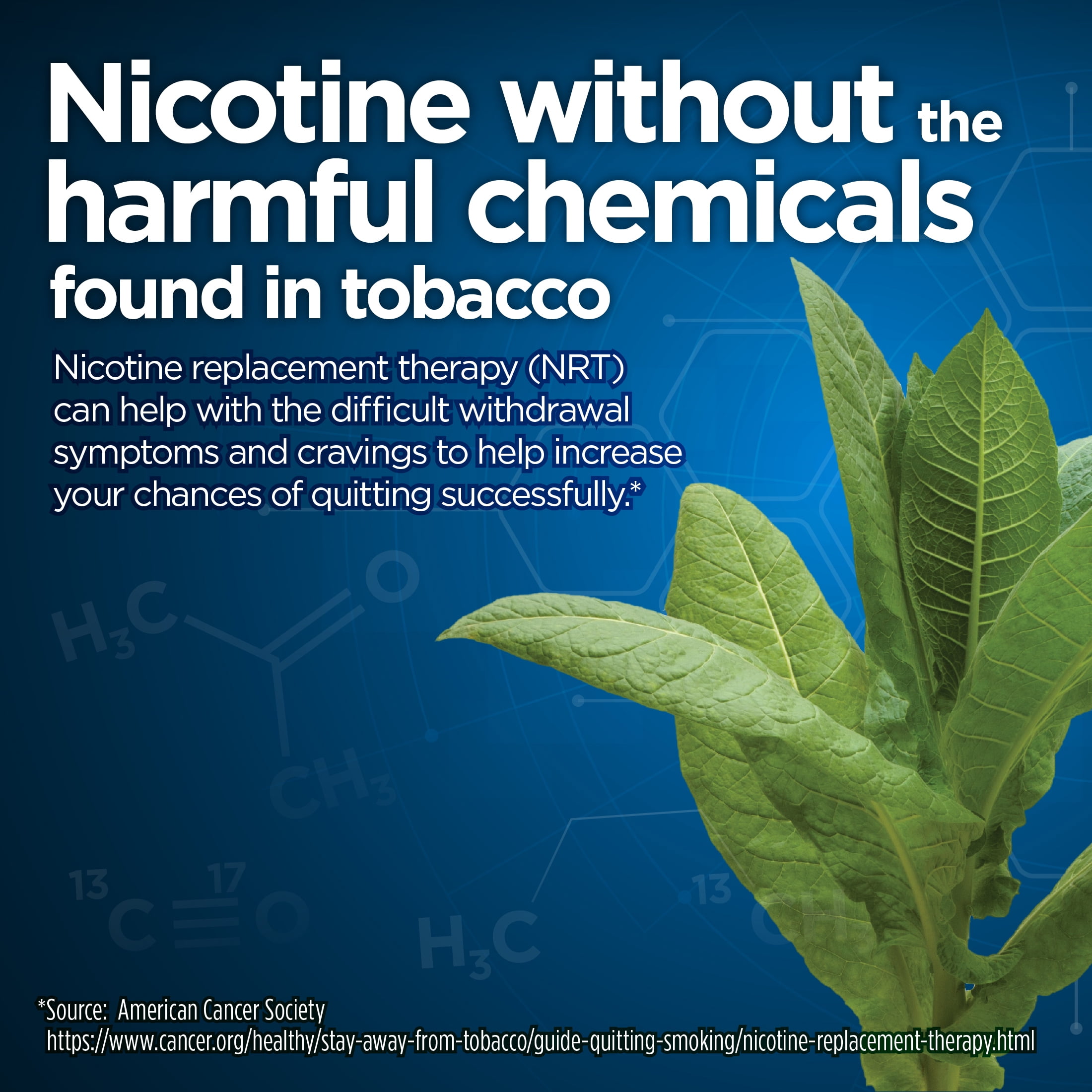 Equate Nicotine Lozenge 2 mg, Mint Flavor - 108 count