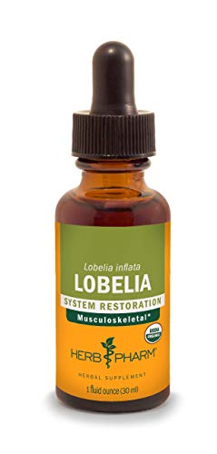 Certified Organic Lobelia Liquid Extract - 1 Ounce