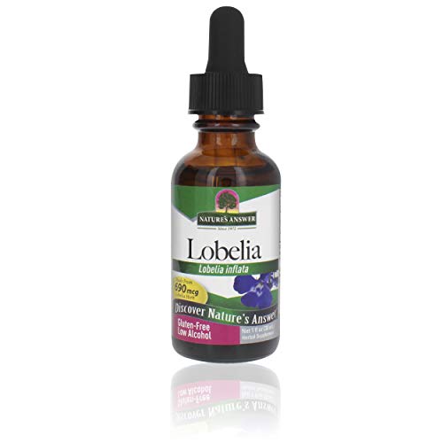 Lobelia Inflata Natural Herbal Supplement for Smoking Cessation