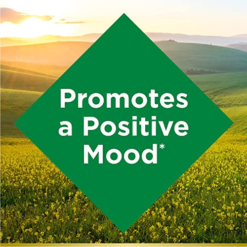 St. John’s Wort Capsules, Herbal Supplement, Mood Support