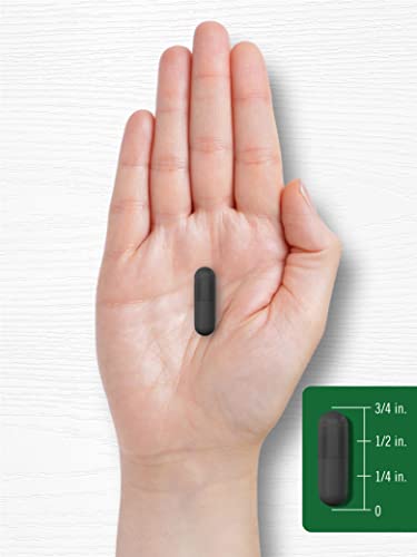 4800mg St John's Wort Capsules | 300 Count