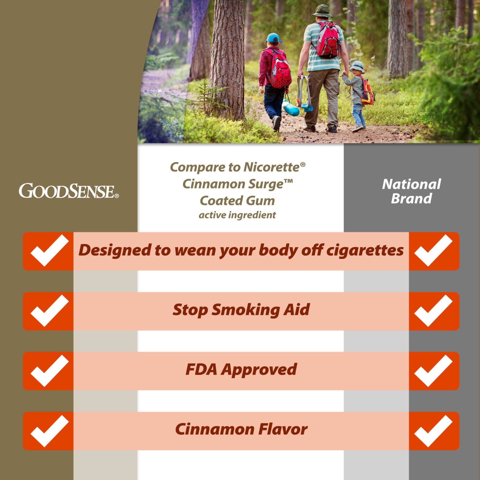 GoodSense 4mg Nicotine Gum, Cinnamon Flavor, 80 Count