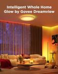 Govee Smart RGBIC Floor Lamp with Alexa Compatibility