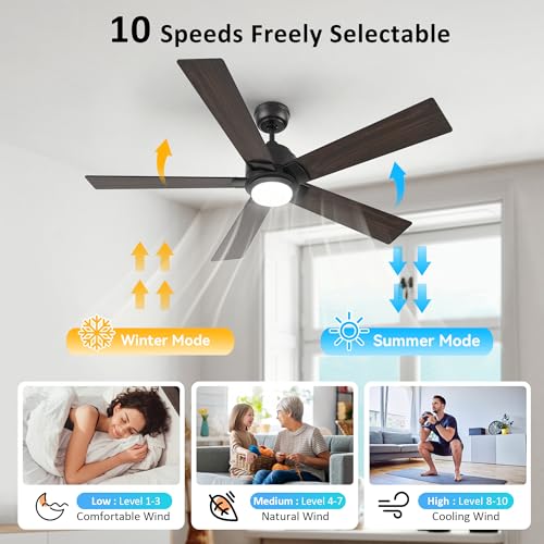Smart 52inch WiFi Ceiling Fan with App Control