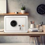 TIGERKING Biometric Fingerprint Digital Security Safe