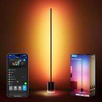 Govee Smart RGBIC Floor Lamp with Alexa Compatibility