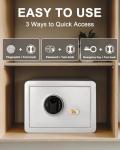 TIGERKING Biometric Fingerprint Digital Security Safe