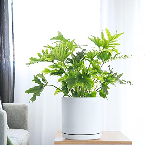 10" Ceramic Planter Pot & Saucer, Indoor/Outdoor, White