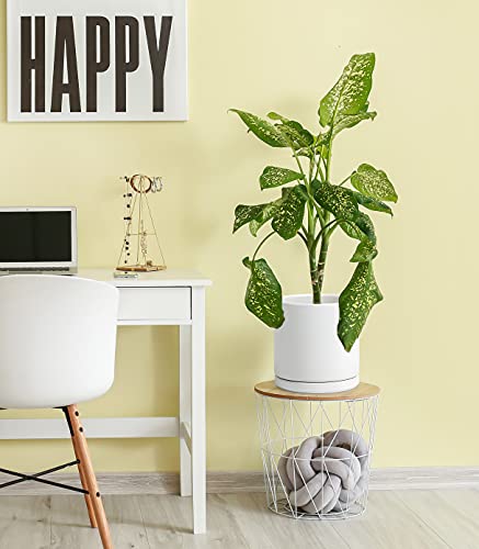 10" Ceramic Planter Pot & Saucer, Indoor/Outdoor, White