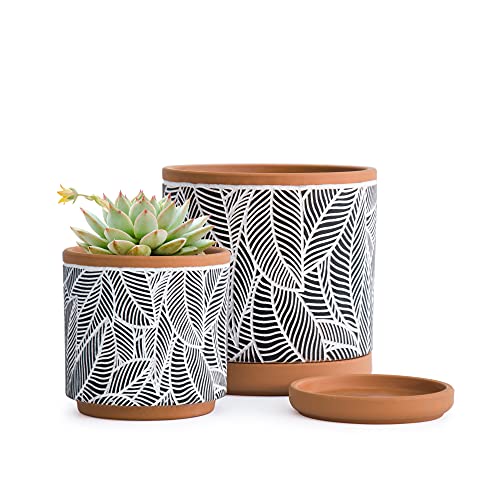 Leaves Pattern Terracotta Planter Pot Set (4" and 6")