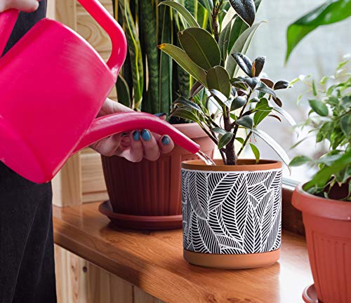 Leaves Pattern Terracotta Planter Pot Set (4" and 6")