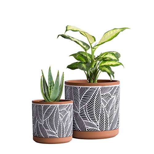 Leaves Pattern Terracotta Planter Pot Set (4" and 6")