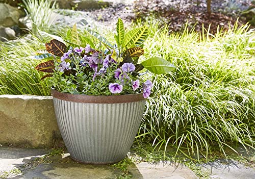 Westlake Indoor/Outdoor Pleated Planter with Drainage & Galvanized Finish