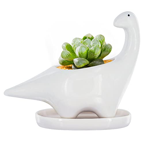 GeLive White Dinosaur Ceramic Succulent Planter, 5 Inch