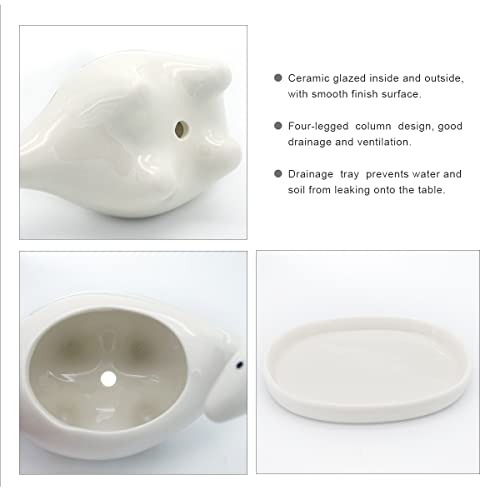 GeLive White Dinosaur Ceramic Succulent Planter, 5 Inch