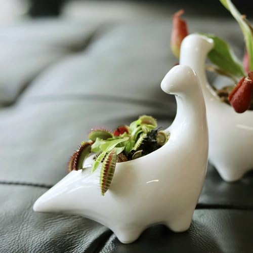 GeLive White Dinosaur Ceramic Succulent Planter, 5 Inch